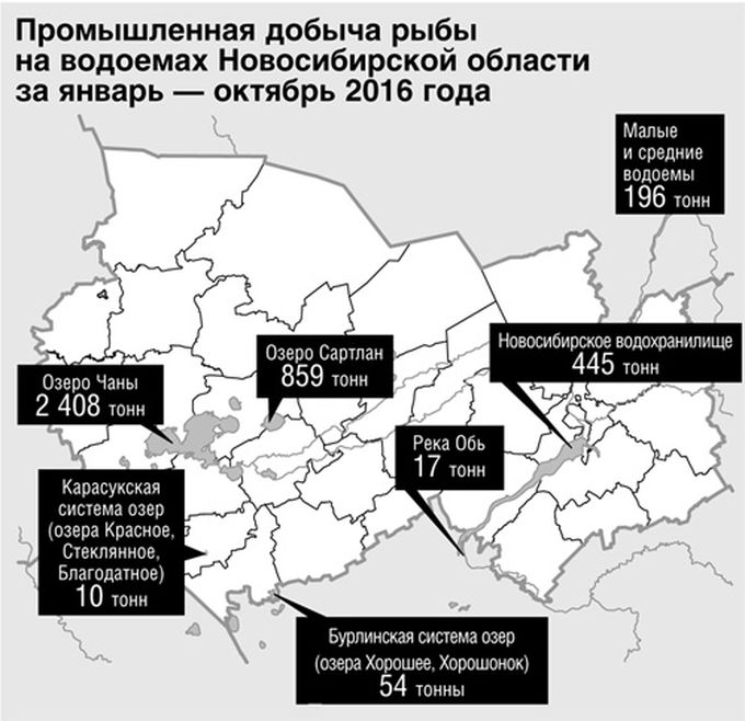 рыба.jpg