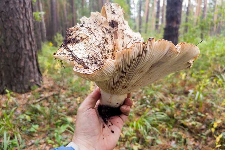 фото Андрея Заржецкого