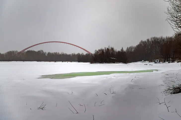 Фото Андрея Заржецкого