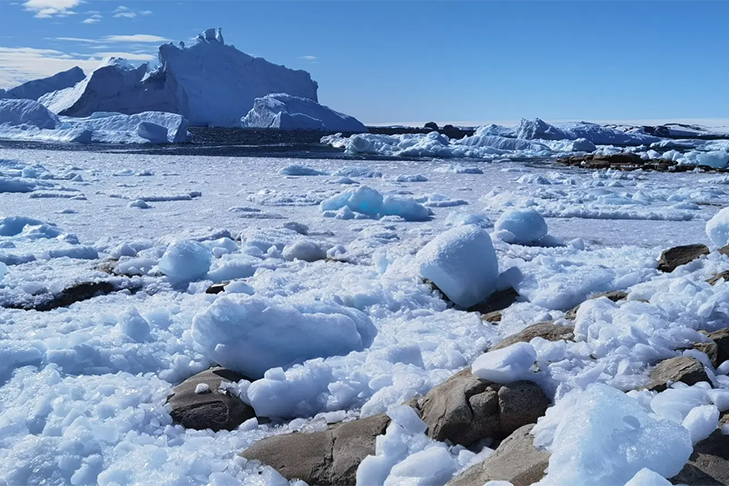 Opera Снимок_2026-02-25_141415_web.max.ru.png Opera Снимок_2026-02-25_141415_web.max.ru.png