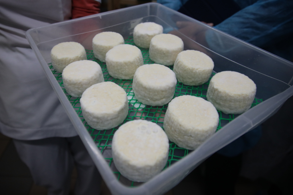 Фото VN.ru 2KKU3044.jpg