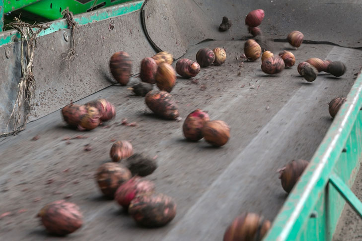 Фото из архива ВН