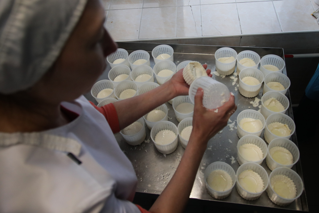 Фото VN.ru 2KKU2870.jpg