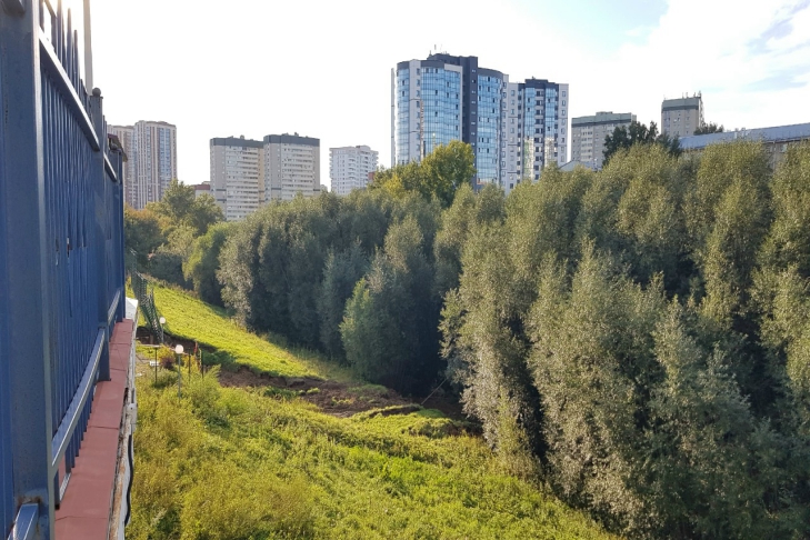 Фото предоставлено Дарьей Друщенко Фото предоставлено Дарьей Друщенко