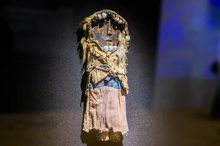 Фото VN.ru 2025-11-25_ЗаржецкийА_0290.webp