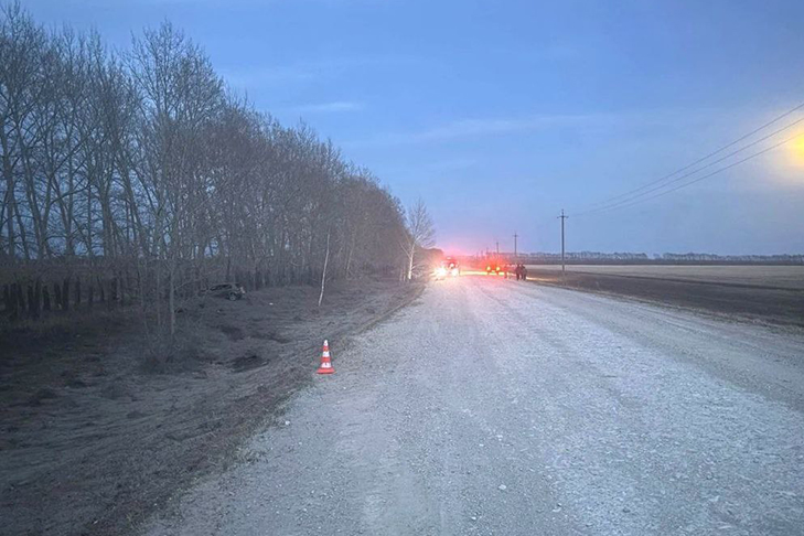 photo_5462934432278246509_y.jpg photo_5462934432278246509_y.jpg