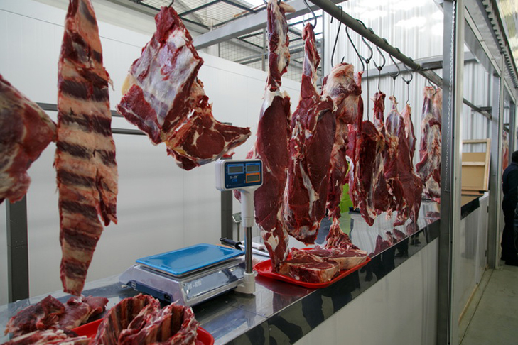 Фото VN.ru IMG_9514.jpg