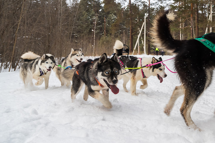 Фото Андрея Заржецкого Фото Андрея Заржецкого