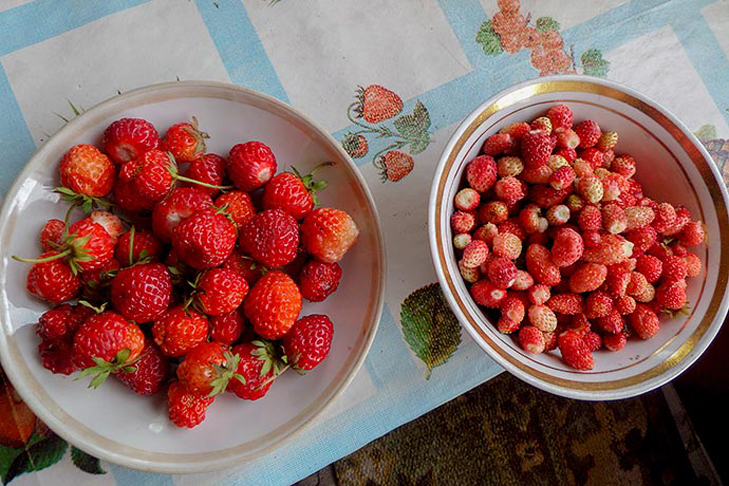 Фото VN.ru 2014-07-26_Заржецкий_074.jpg
