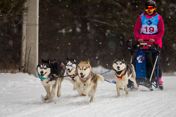 Фото Андрея Заржецкого Фото Андрея Заржецкого