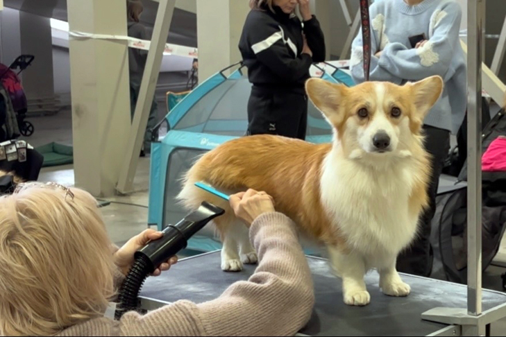 Фото VN.ru 8BCGE-g2Bct087h6MW30N8WCPu5vnW3gmDvW9ey2To81hnSjcL2VddaIgjXAcQ1bQAlxB6pKzFGxm9SMIAH-o0US.jpg