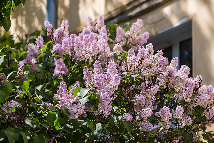 Фото Андрея Заржецкого