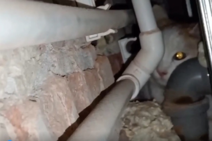 скриншот из видео МАСС скриншот из видео МАСС