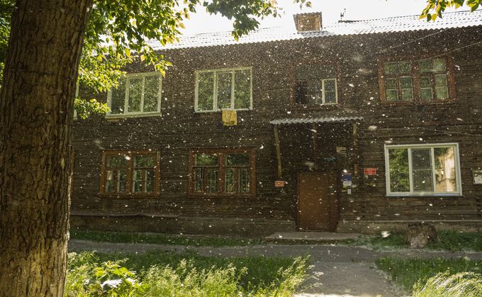 Летний снег на Римского-Корсакова.jpg