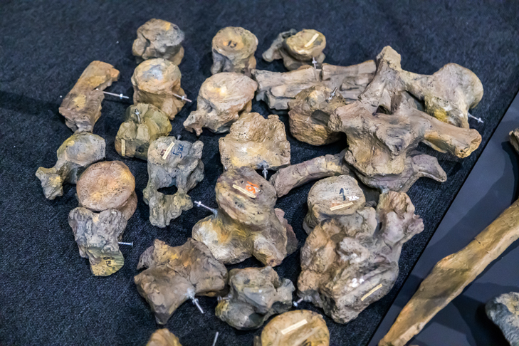 Фото VN.ru 2022-12-19_ЗаржецкийА_0048.jpg