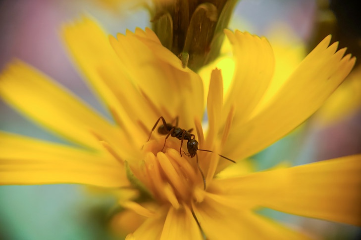 Фото Андрея заржецкого Фото Андрея заржецкого