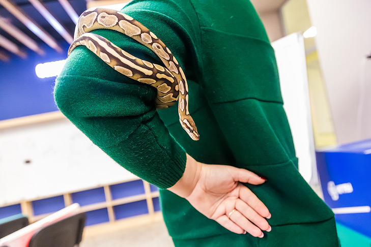 Фото VN.ru 2024-12-19_ЗаржецкийА_0621.jpg