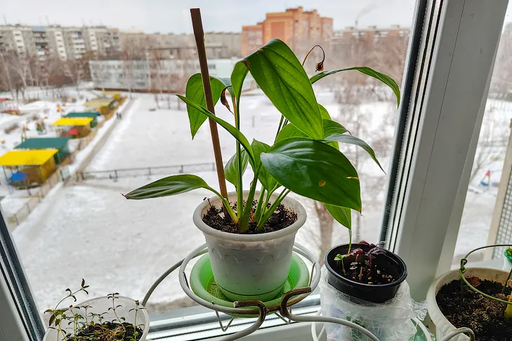 Фото VN.ru 2026-03-29_ЗаржецкийА_0001.webp