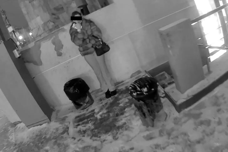 Задержанная хулиганка.jpg