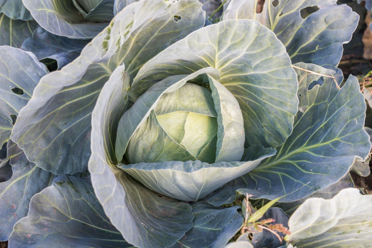 Фото Андрея Заржецкого