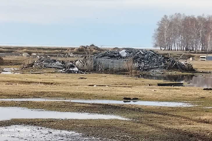 WhatsApp Image 2025-04-08 at 12.39.43.jpeg