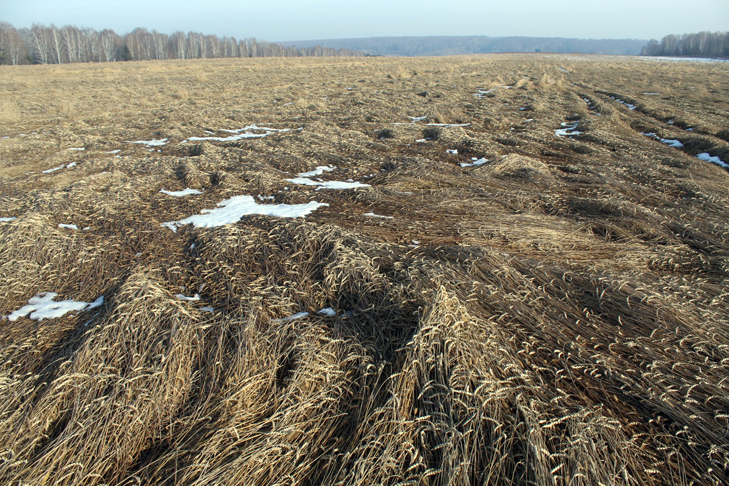 Фото VN.ru efe7e0d9-ad8b-4638-a6d4-8f32c55e5baa.jpg