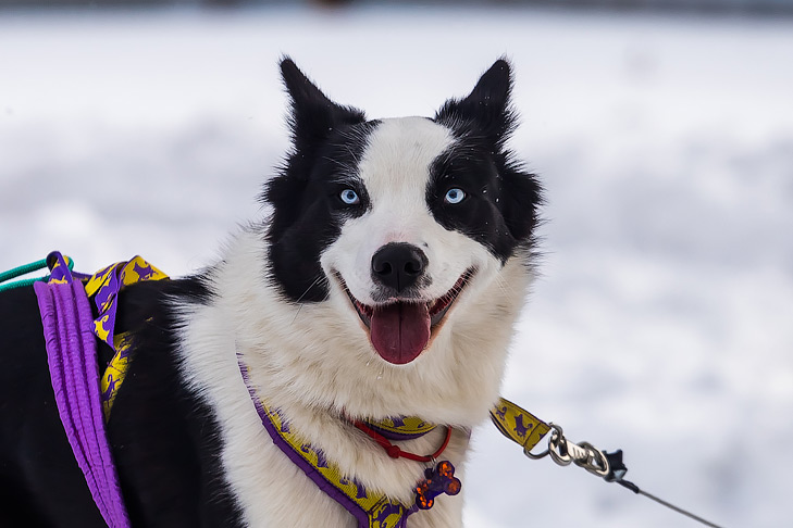Фото Андрея Заржецкого Фото Андрея Заржецкого