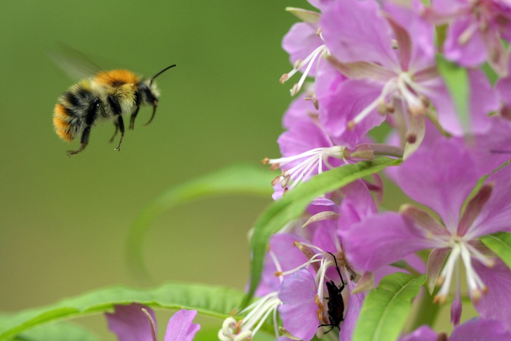Фото Андрея заржецкого Фото Андрея заржецкого