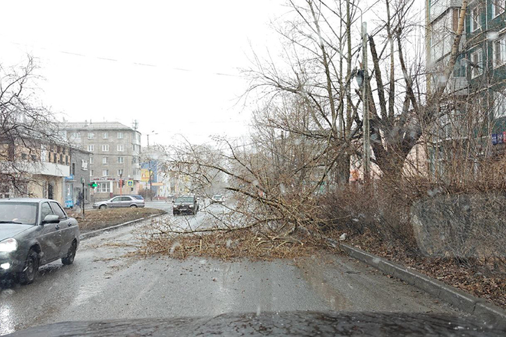 фото ГУ МВД России по Красноярскому краю