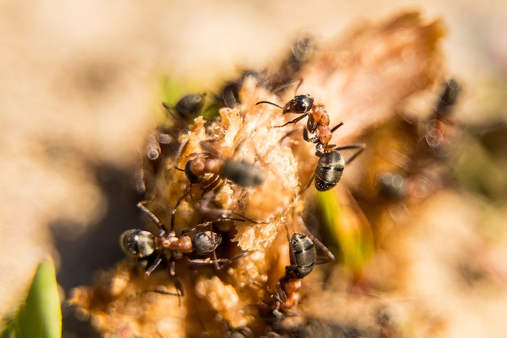 Фото Андрея заржецкого Фото Андрея заржецкого