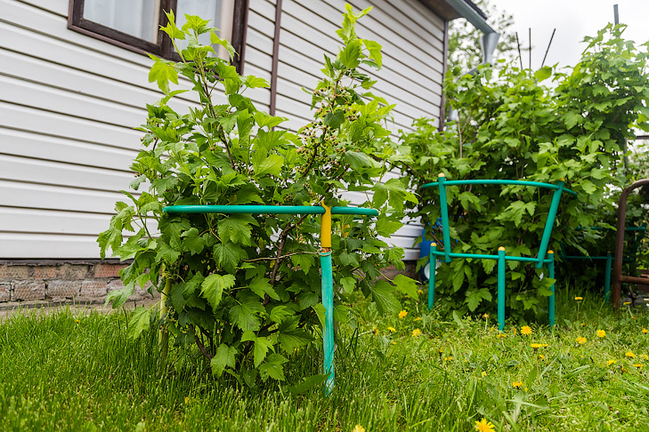 Фото Андрея заржецкого Фото Андрея заржецкого