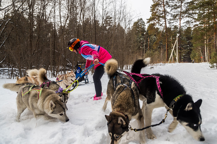 Фото Андрея Заржецкого Фото Андрея Заржецкого