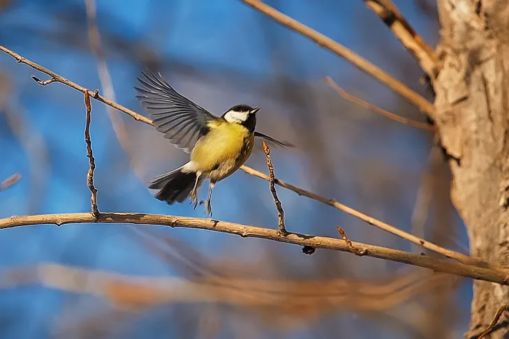 0_2025-12-29 Новогодняя улица.00_03_31_17.Still064.webp