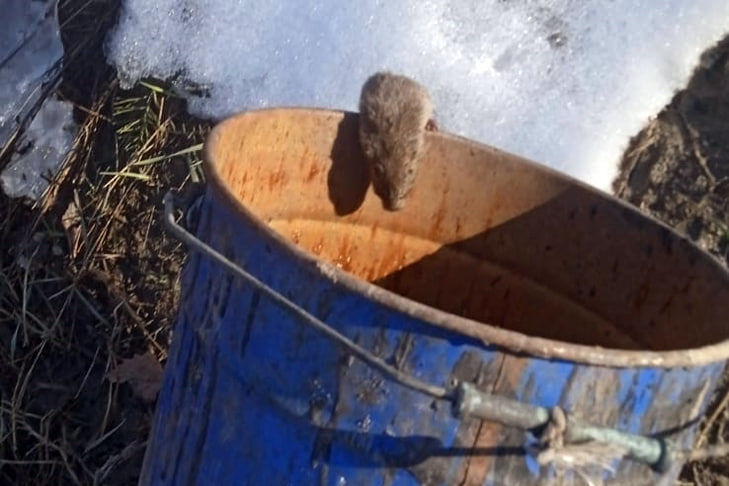 Фото VN.ru photo_2025-10-30_14-17-49.jpg