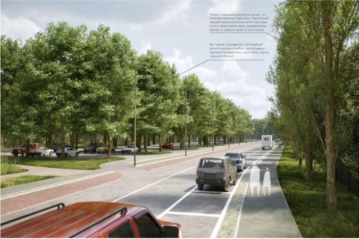 иллюстрация с сайта green.novo-sibirsk.ru