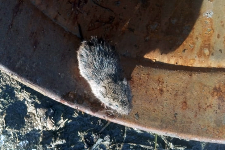 Фото VN.ru photo_2025-10-30_14-17-44.jpg