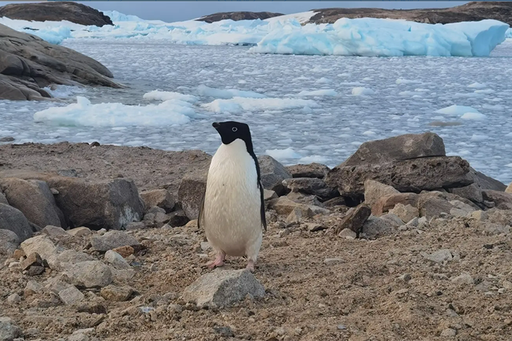 Opera Снимок_2026-02-25_141344_web.max.ru.png Opera Снимок_2026-02-25_141344_web.max.ru.png