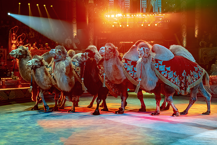 IMG_1146-Улучшено-Ум. шума-редакт.jpg