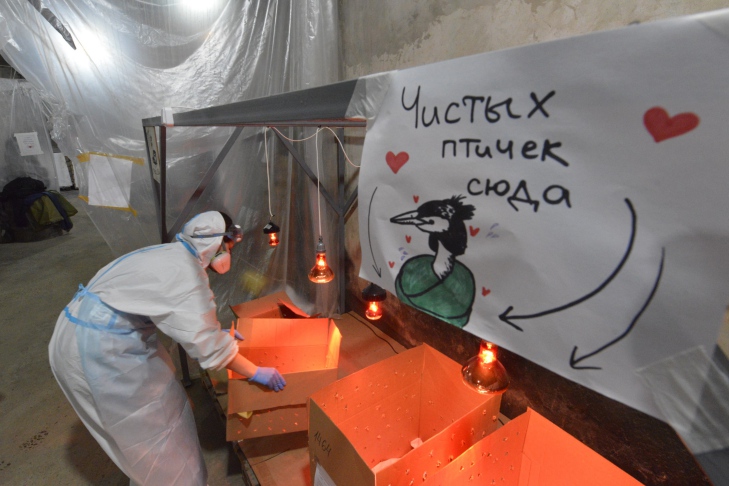 фото Николай Шпилёнок Фонд защиты природы 