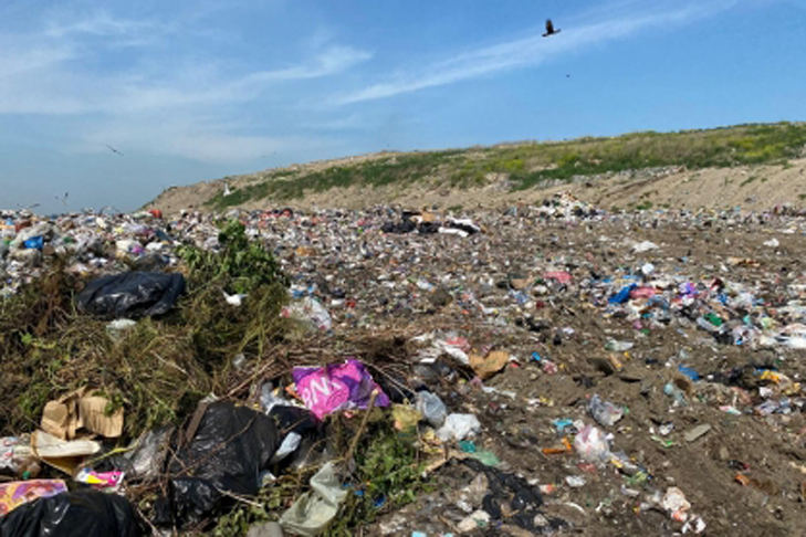 WhatsApp Image 2025-10-07 at 11.52.43.jpeg