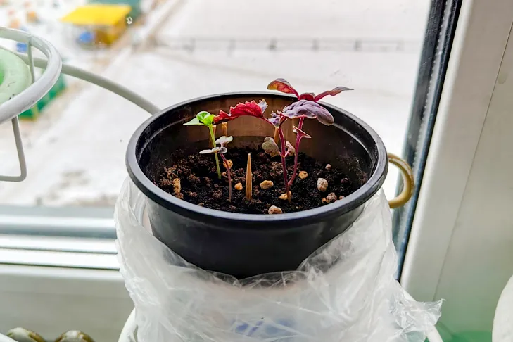 Фото VN.ru 2026-03-29_ЗаржецкийА_0009.webp