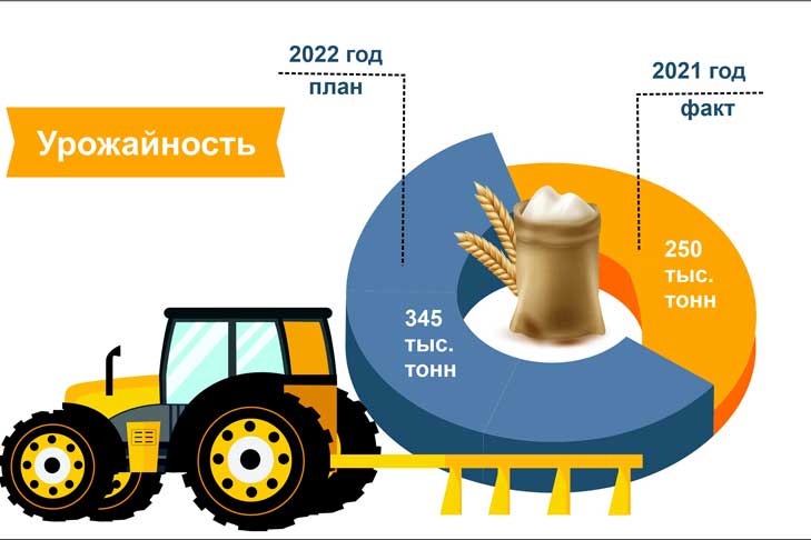 урожай-инфографика.jpg