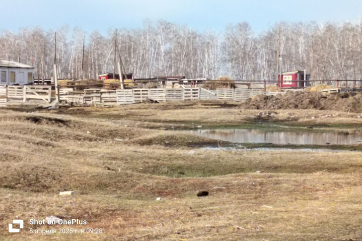 WhatsApp Image 2025-04-08 at 12.39.42.jpeg