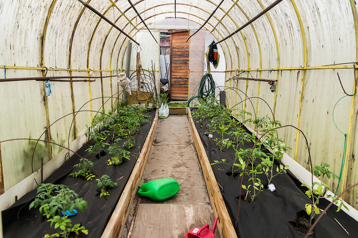 Фото Андрея Заржецкого