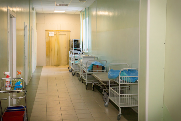 фото Андрей Заржецкий