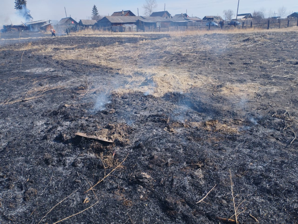 © Фото ГУ МВД России по Красноярскому краю