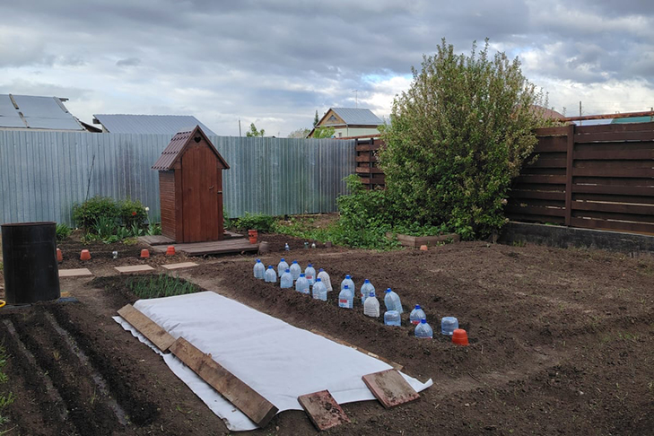 Фото из ТГ-канала «Новости Вер-Тулы»