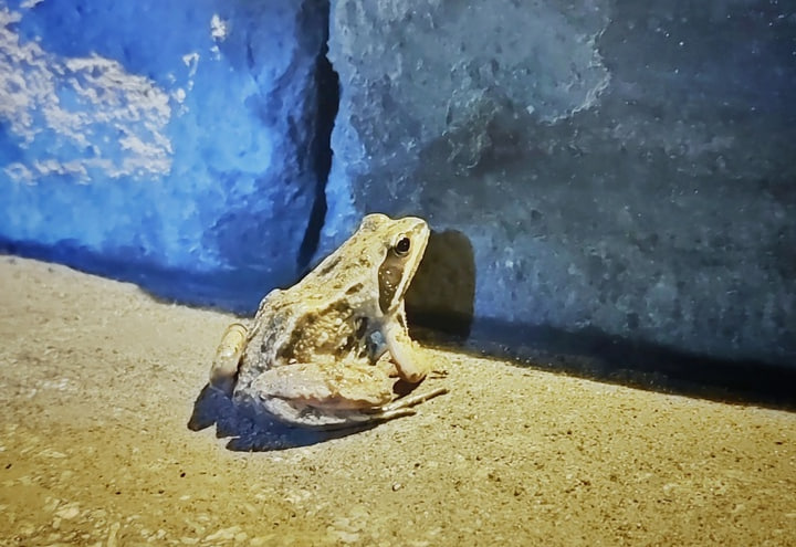 Фото VN.ru https://vk.com/wall-70419166_364707