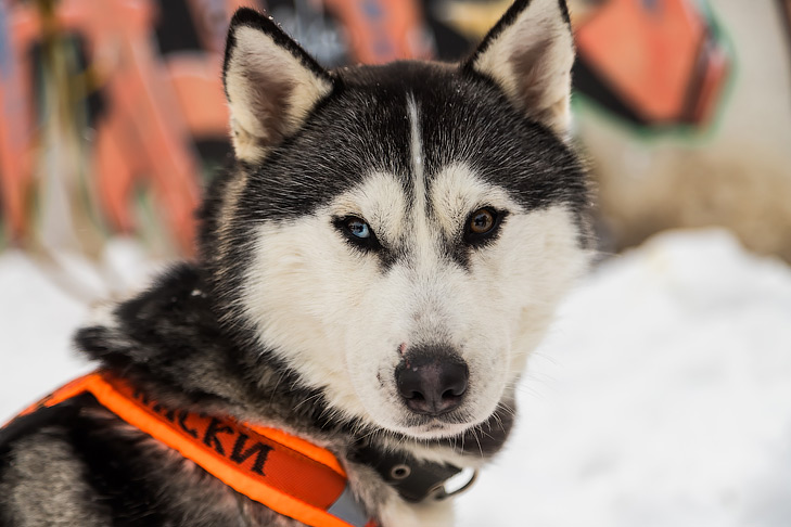 Фото Андрея Заржецкого Фото Андрея Заржецкого