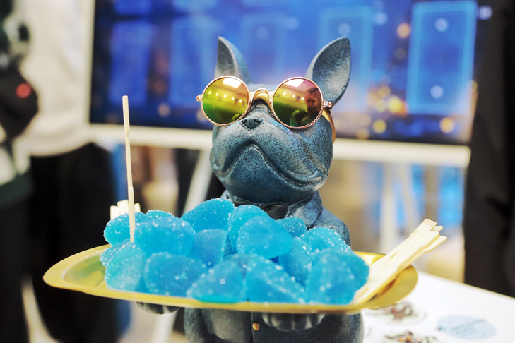 Фото VN.ru 2025-12-10_Заржецкий_006.jpeg